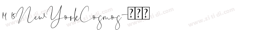 14 15NewYorkCosmos字体转换